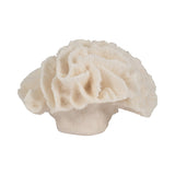 Sagebrook Home Coral Object, Ivory, Tranquil Waters
