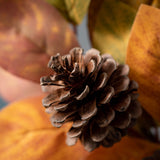 6"H Sullivans Fall Leaf Orb, Orange - 10.5"L x 10.5"W x 6"H