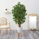 6' Black Olive Artificial Tree in White Planter with Stand - 21"