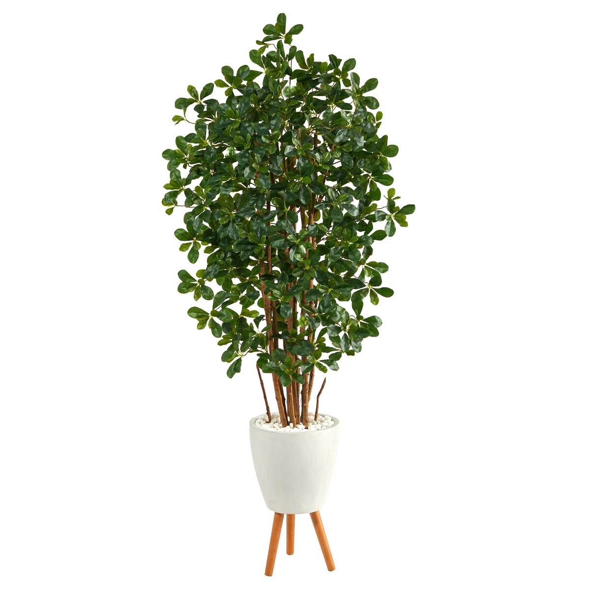 6' Black Olive Artificial Tree in White Planter with Stand - 21"