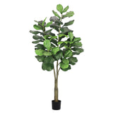 6ft Artificial Fiddle Leaf Fig Tree Plant in Black Pot - 72" H x 33" W x 33" DP