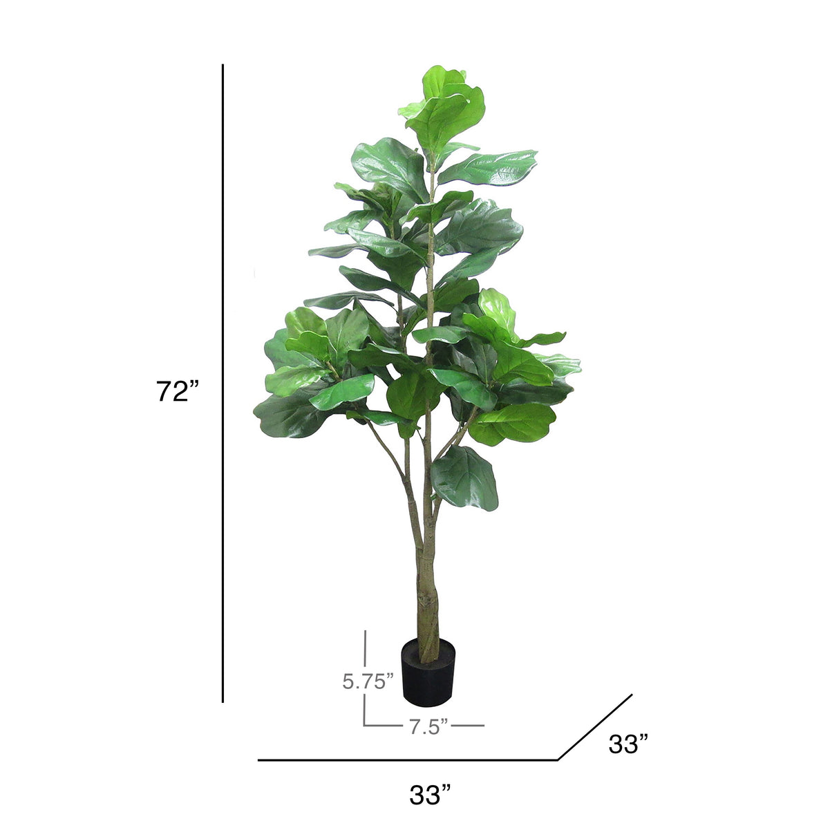 6ft Artificial Fiddle Leaf Fig Tree Plant in Black Pot - 72" H x 33" W x 33" DP