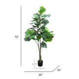 6ft Artificial Fiddle Leaf Fig Tree Plant in Black Pot - 72" H x 33" W x 33" DP