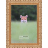 6x12 Ornate Gold Complete Wood Picture Frame with UV Acrylic, Foam Board Backing, & Hardware