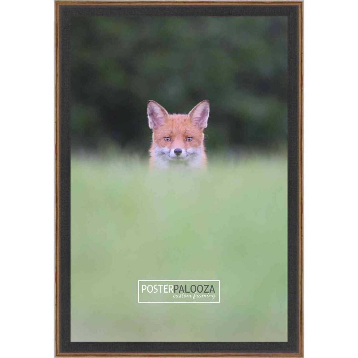6x12 Traditional Complete Wood Picture Frame with UV Acrylic, Foam Board Backing, & Hardware