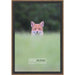 6x12 Traditional Complete Wood Picture Frame with UV Acrylic, Foam Board Backing, & Hardware