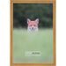 6x12 Traditional Gold Complete Wood Picture Frame with UV Acrylic, Foam Board Backing, & Hardware