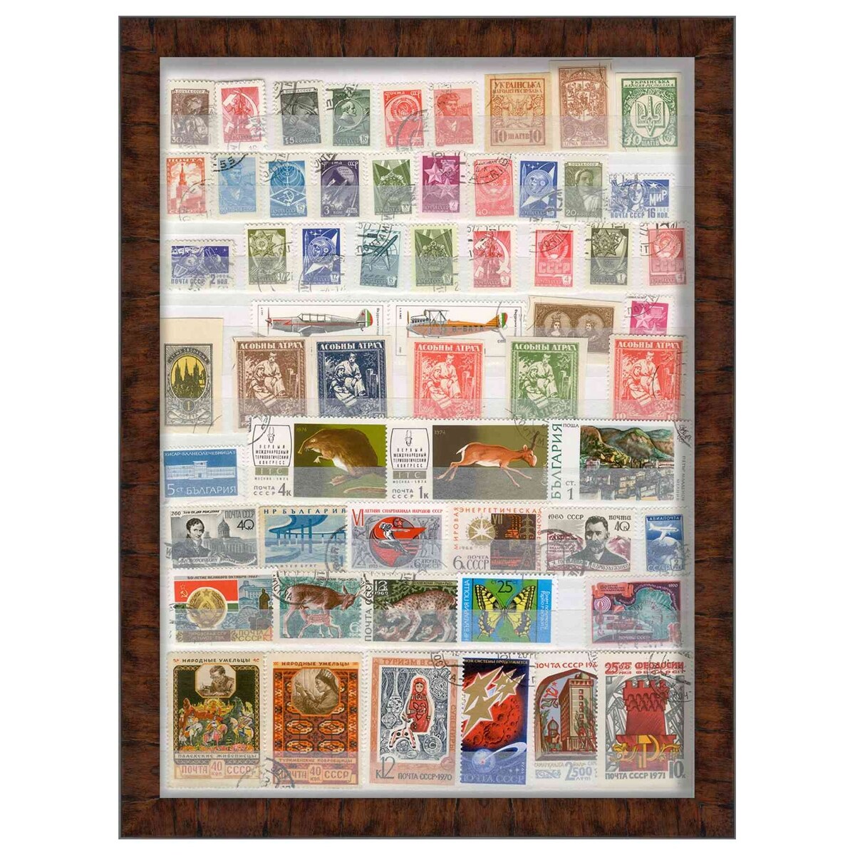 6x12 Walnut Shadowbox Frame - Interior Size 6x12 by 1 Inch Deep - This Walnut Frame Is Made to Display Items Up To 1 Inch Deep