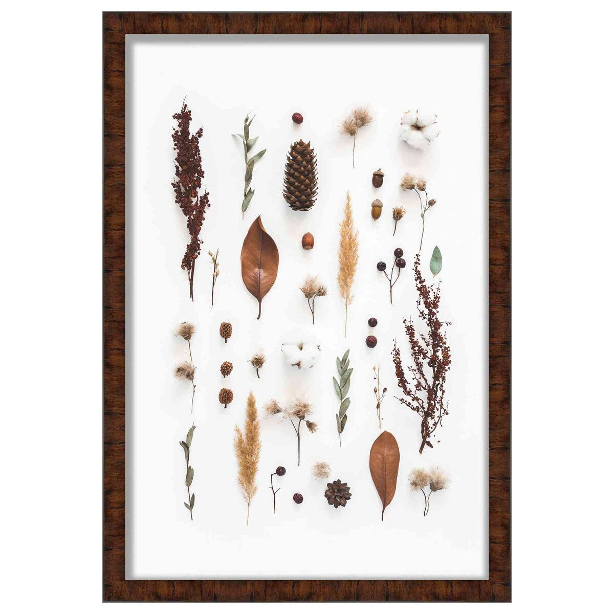 6x12 Walnut Shadowbox Frame - Interior Size 6x12 by 1 Inch Deep - This Walnut Frame Is Made to Display Items Up To 1 Inch Deep