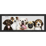 6x18 Traditional Black Complete Wood Picture Frame with UV Acrylic, Foam Board Backing, & Hardware