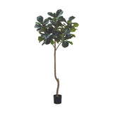 7 ft Fiddle Leaf Fig Tree - Green