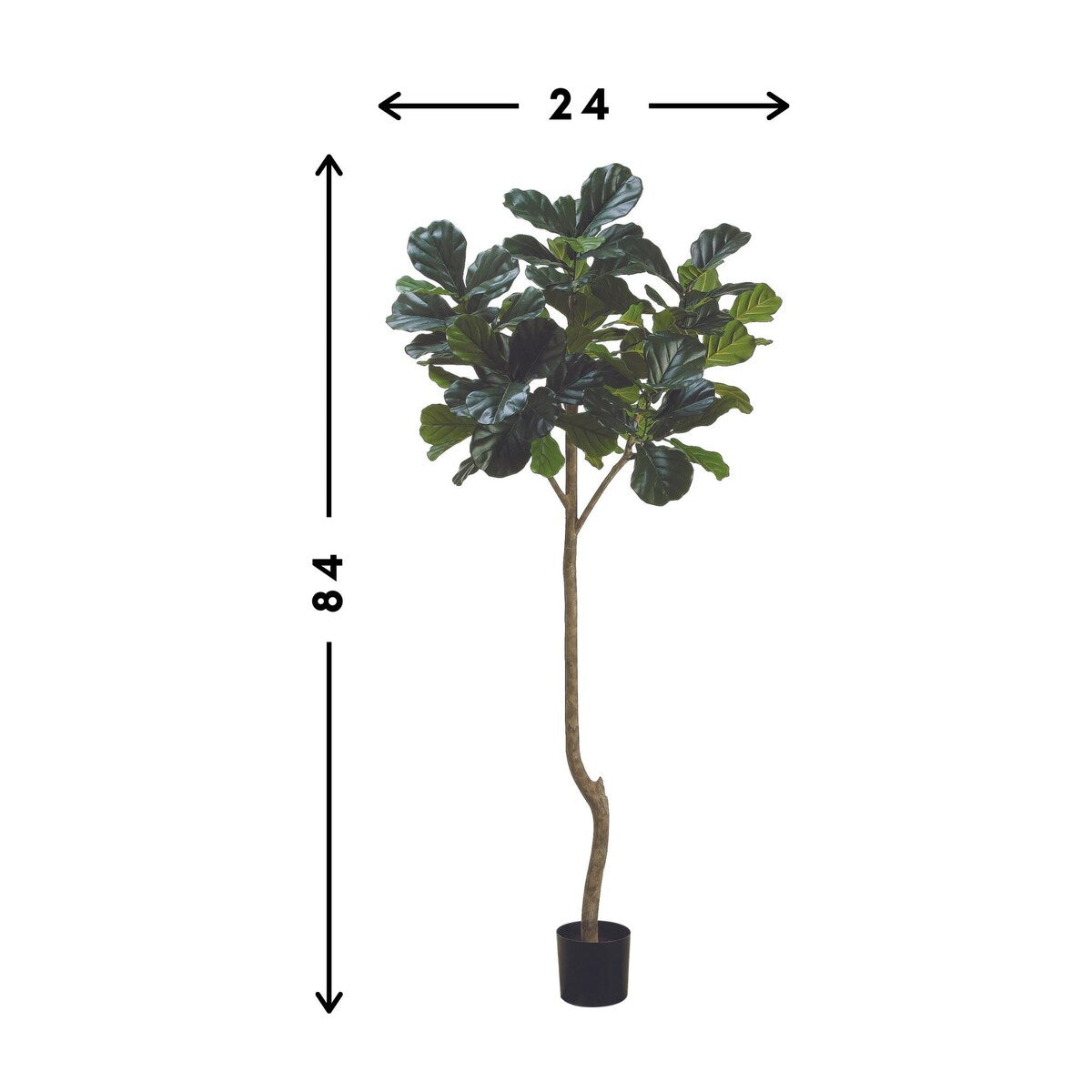 7 ft Fiddle Leaf Fig Tree - Green