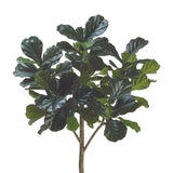 7 ft Fiddle Leaf Fig Tree - Green