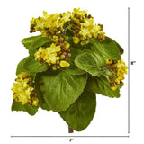 8" Kalanchoe Artificial Bush Flower (Set of 6)