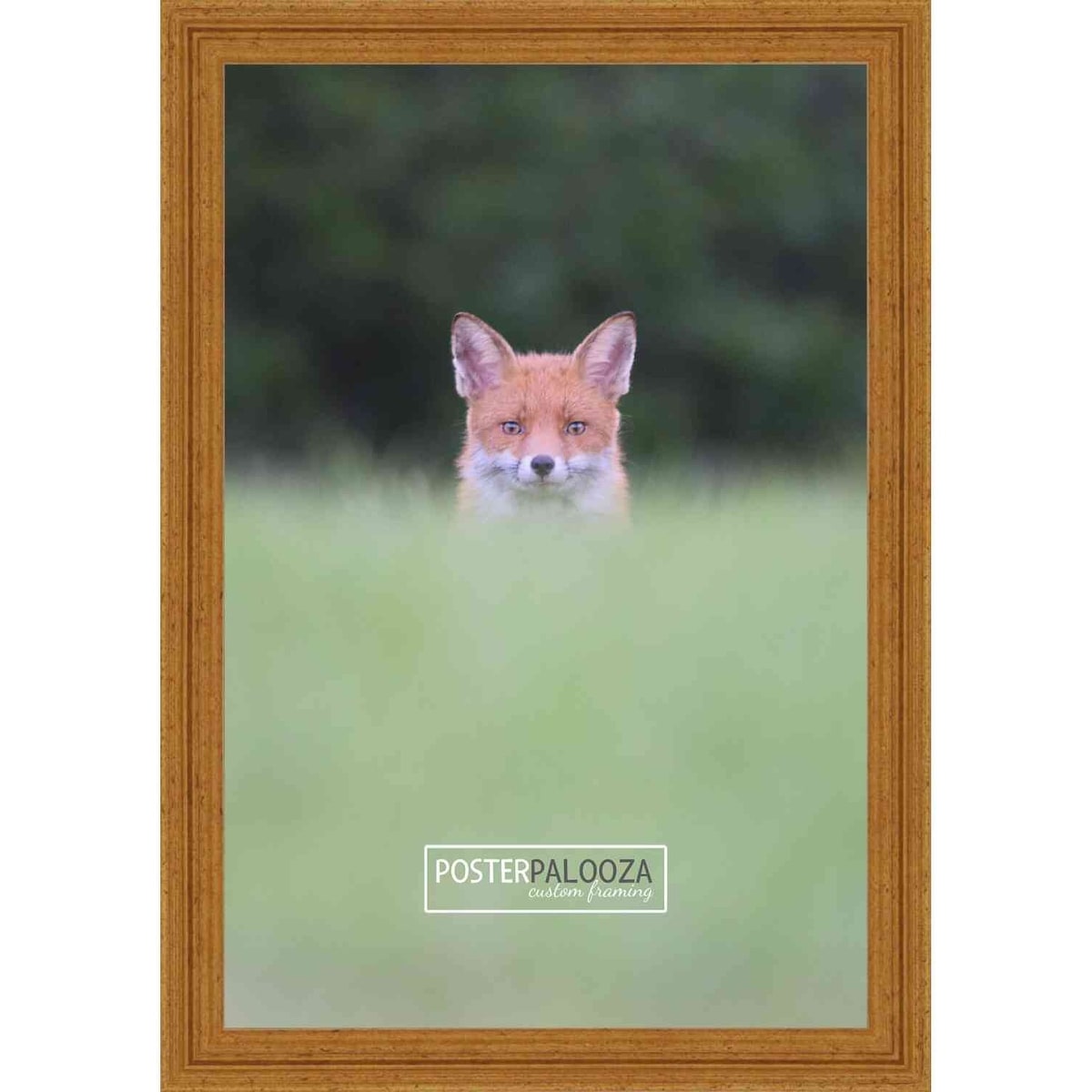 8x10 Traditional Antique Gold Complete Wood Picture Frame with UV Acrylic, Foam Board Backing, & Hardware