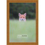 8x10 Traditional Antique Gold Complete Wood Picture Frame with UV Acrylic, Foam Board Backing, & Hardware