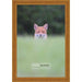 8x10 Traditional Antique Gold Complete Wood Picture Frame with UV Acrylic, Foam Board Backing, & Hardware
