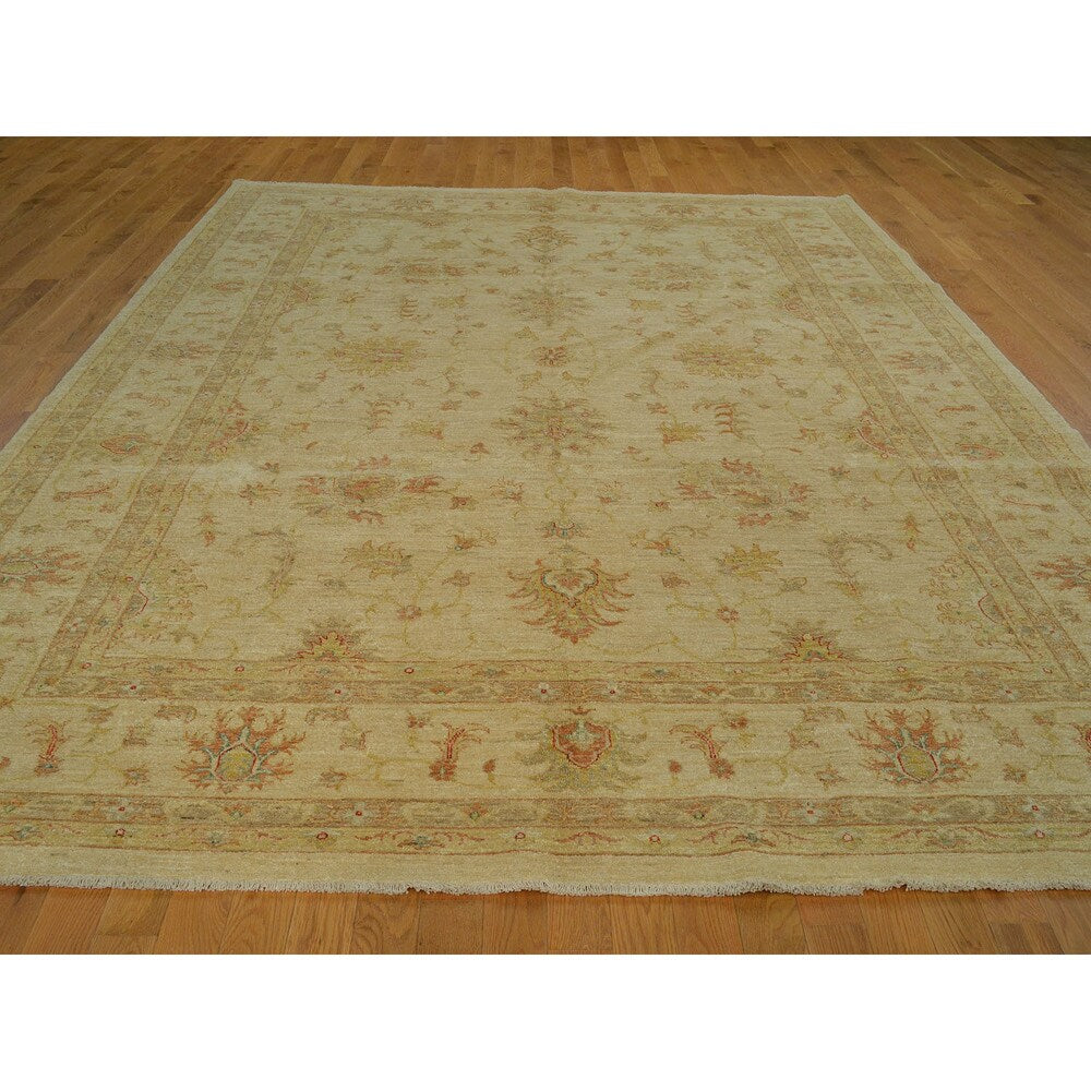 Hand-knotted Oriental Beige Peshawar Wool Area Rug (8' x 12')