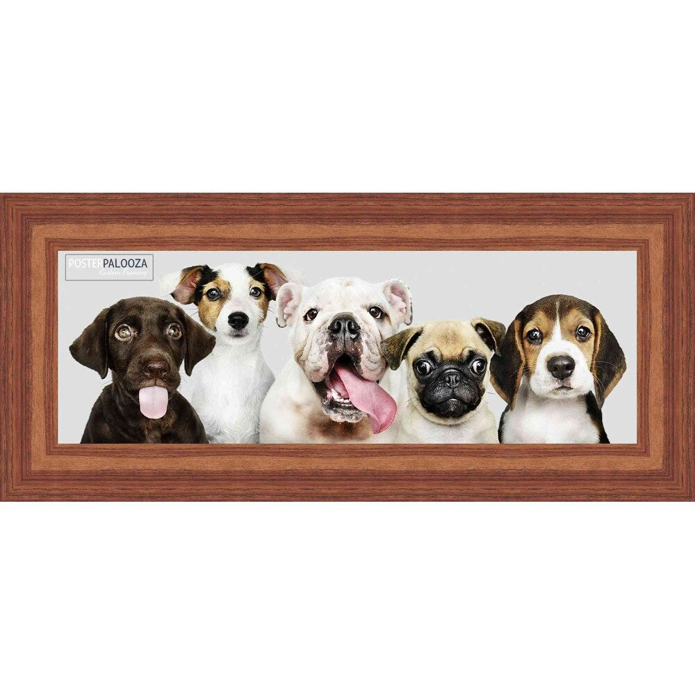 8x20 Contemporary Honey Pecan Complete Wood Picture Frame with UV Acrylic, Foam Board Backing, & Hardware