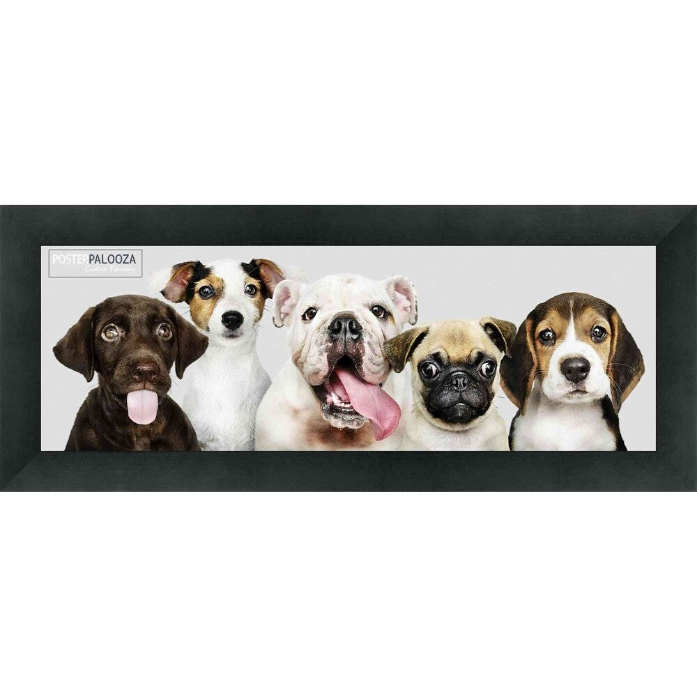 8x24 Contemporary Black Complete Wood Picture Frame with UV Acrylic, Foam Board Backing, & Hardware