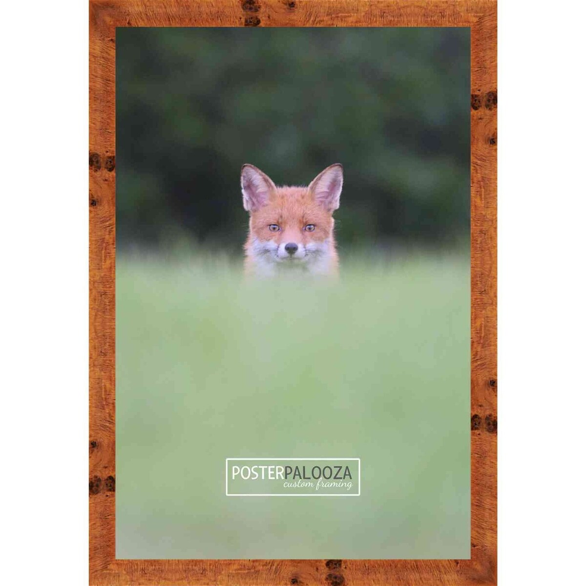 9x6 Traditional Honey Pecan Complete Wood Picture Frame with UV Acrylic, Foam Board Backing, & Hardware