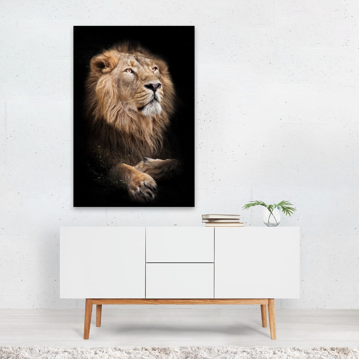 A powerful male with a magnificent mane Photography Art Print/Poster