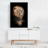 A powerful male with a magnificent mane Photography Art Print/Poster