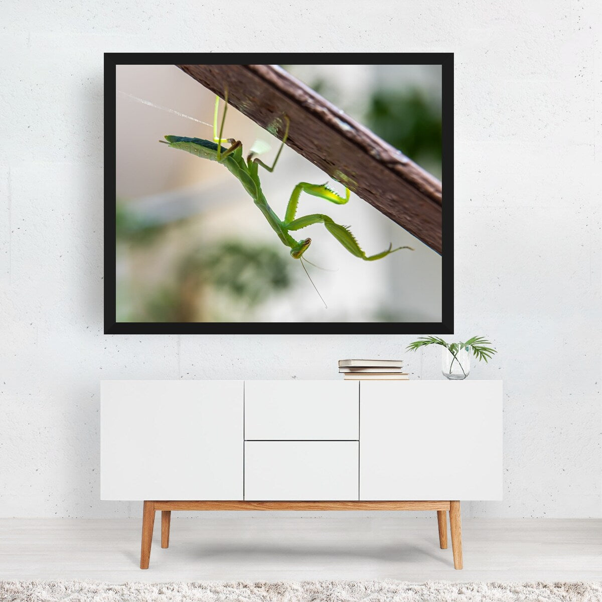 A small green mantis on a light background Art Print/Poster