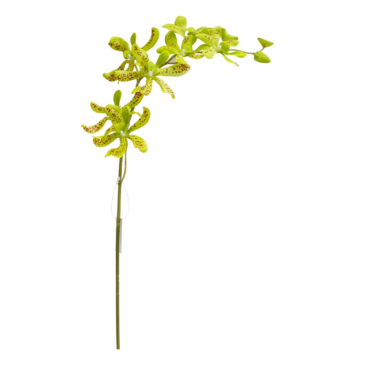 A&B Home 30-inch Orchid Stem