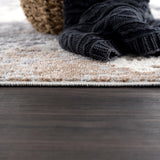 Abani Dune Contemporary Warm Grey Distressed Indoor Area Rug
