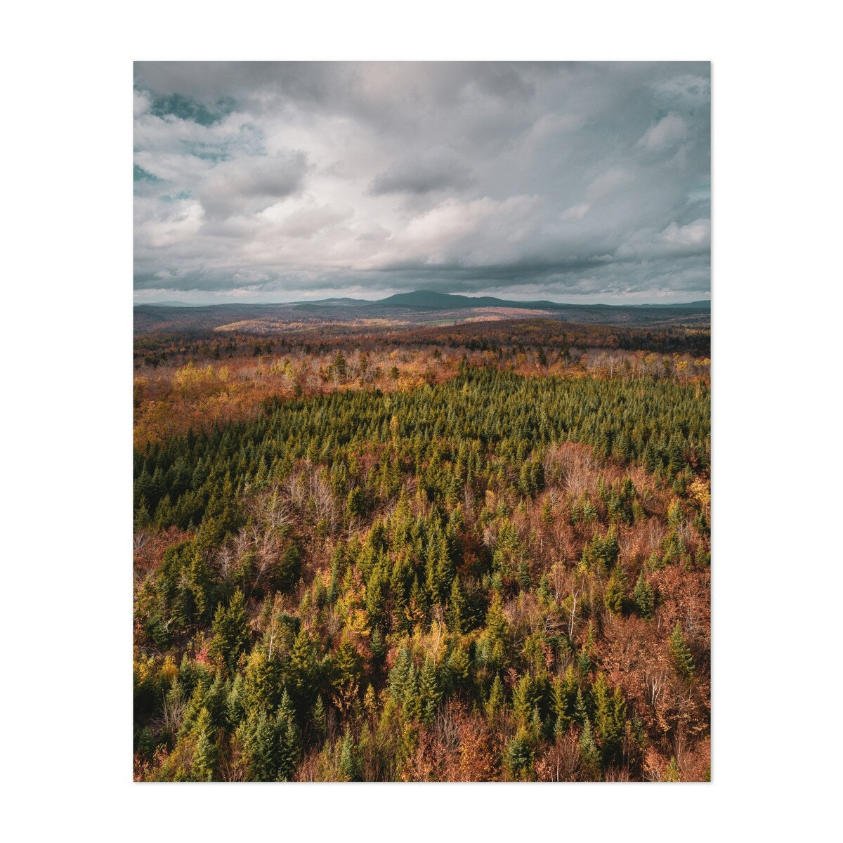 Abbot Maine North Woods Autumn 02 Photography Forest Art Print/Poster