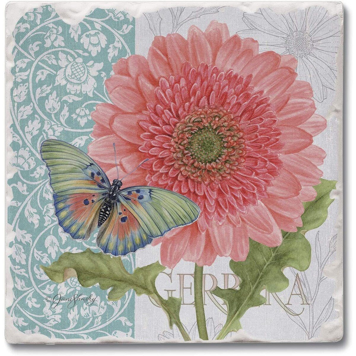 Absorbent Stone Beverage Coasters - Set of 4 - Gerber Daisy - Multi-150