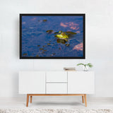 Acadia National Park Maine Portrait Of A Frog Nature Art Print/Poster