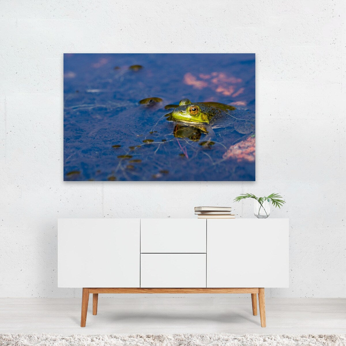 Acadia National Park Maine Portrait Of A Frog Nature Art Print/Poster