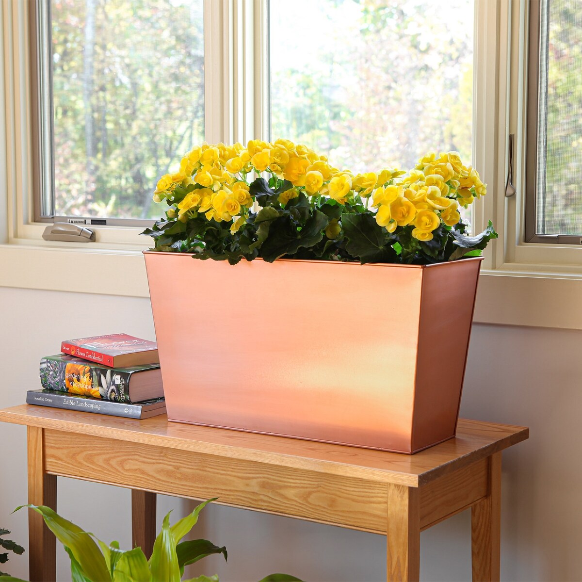 Achla Designs 22" W Rectangle Copper Plated Galvanized Steel Flower Box, Indoor Outdoor Use