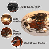 Adjustable Speed Case Ceiling Fans with Lights, Remote Control