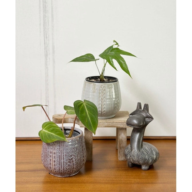 Admired By Nature Planters Pots, Modern Ceramic for Home Décor