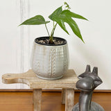 Admired By Nature Planters Pots, Modern Ceramic for Home Décor
