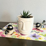 Admired By Nature Planters Pots, Modern Ceramic for Home Décor