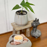 Admired By Nature Planters Pots, Modern Ceramic for Home Décor