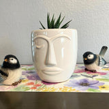 Admired By Nature Planters Pots, Modern Ceramic for Home Décor