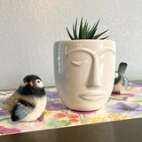 Admired By Nature Planters Pots, Modern Ceramic for Home Décor