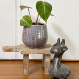 Admired By Nature Planters Pots, Modern Ceramic for Home Décor