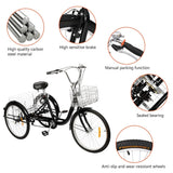 Adult Tricycle 24" Wheels, 7 Speed Men's Women's Bike