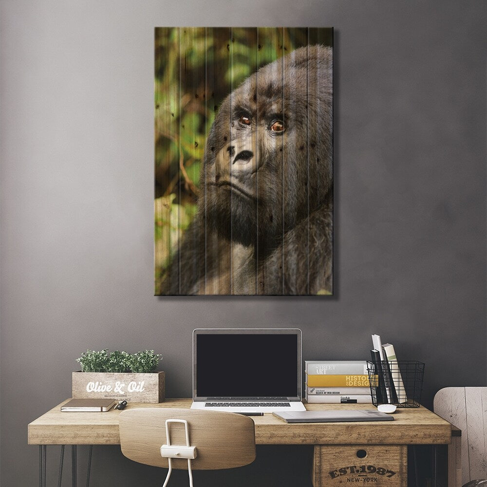 Africa, Rwanda, Volcanoes National Park. Portrait of a silverback mountain gorilla II Print On Wood by Ellen Goff - Multi-Color