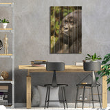 Africa, Rwanda, Volcanoes National Park. Portrait of a silverback mountain gorilla II Print On Wood by Ellen Goff - Multi-Color