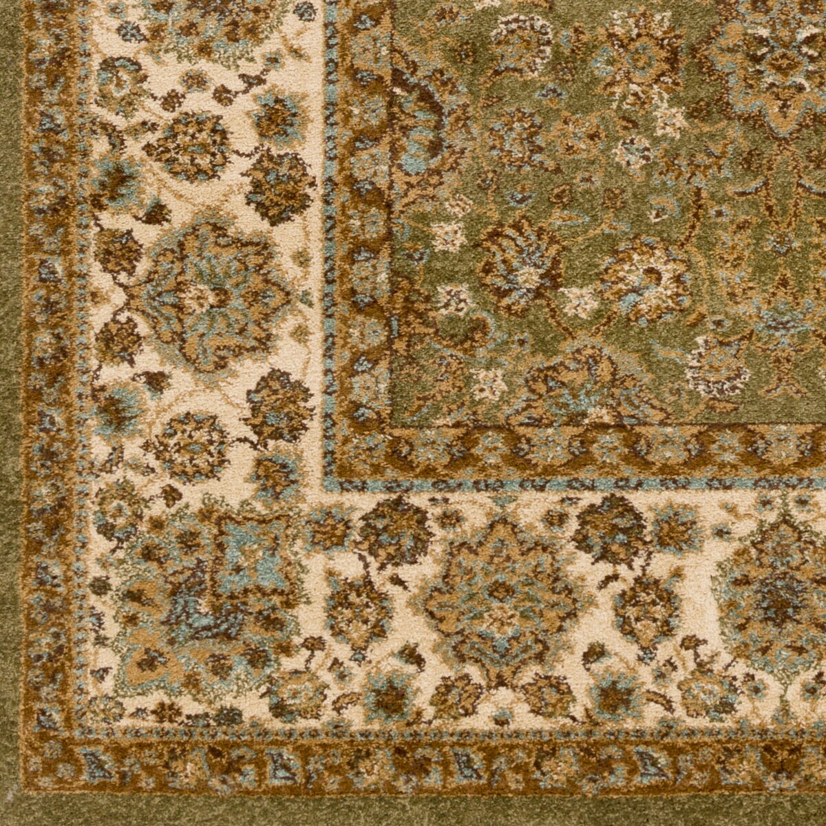 Alani Border Area Rug