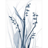 Albert Koetsier 'Radiant Blues 2' Framed Art