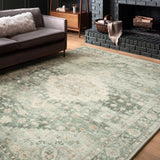 Alexander Home Juliet Floral Ultra-Soft Distressed Oriental Rug