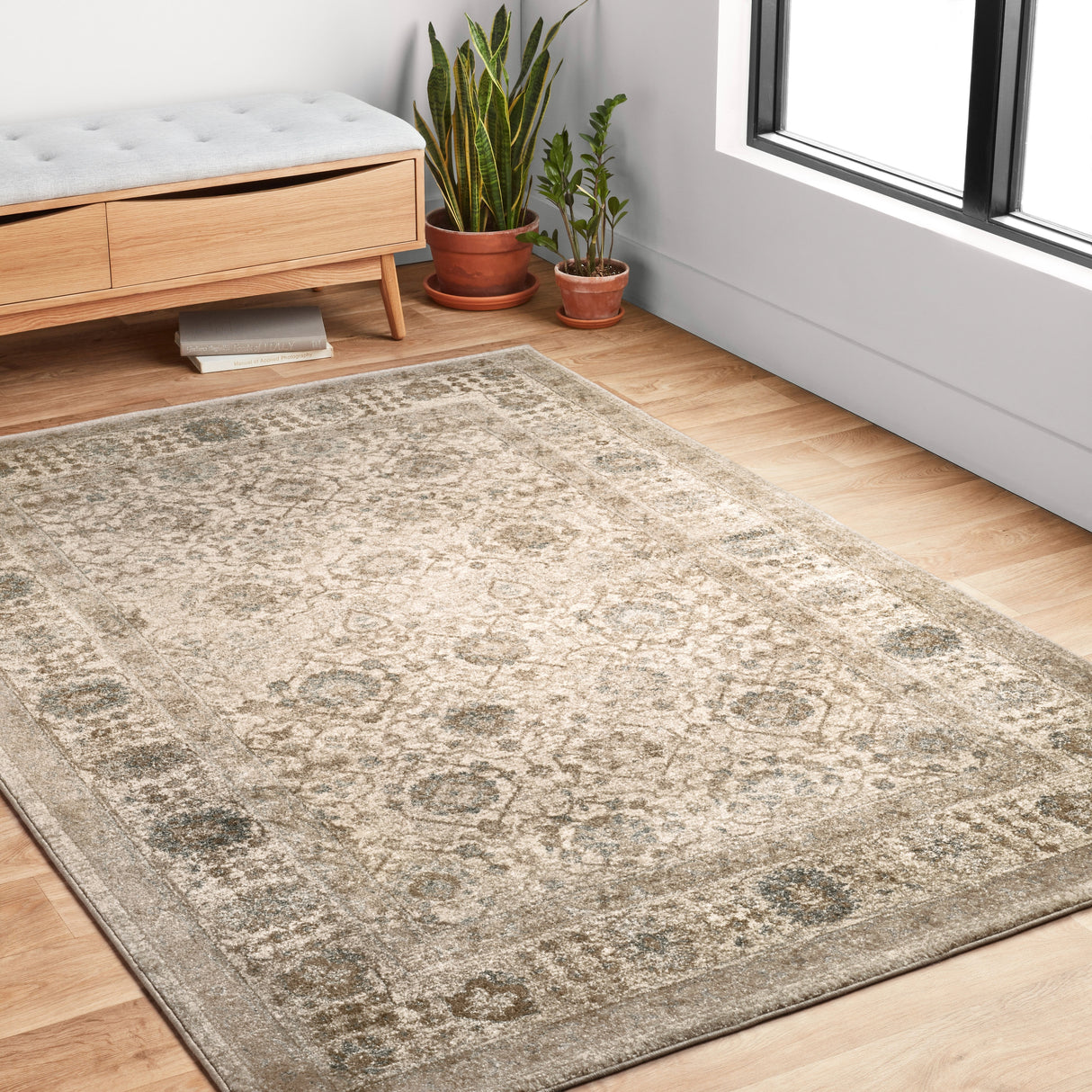 Alexander Home Kendrick Traditional Oriental Area Rug